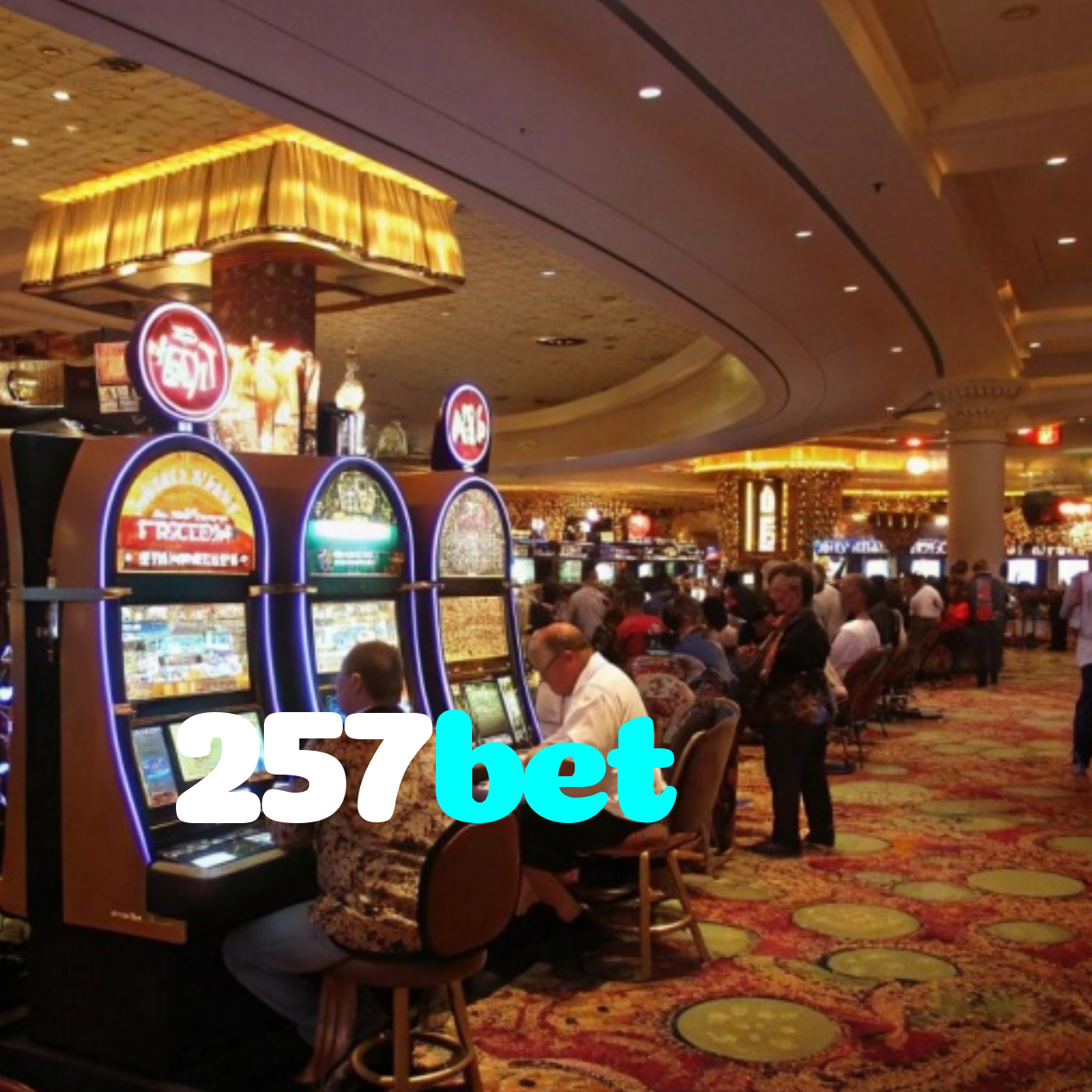 257bet
