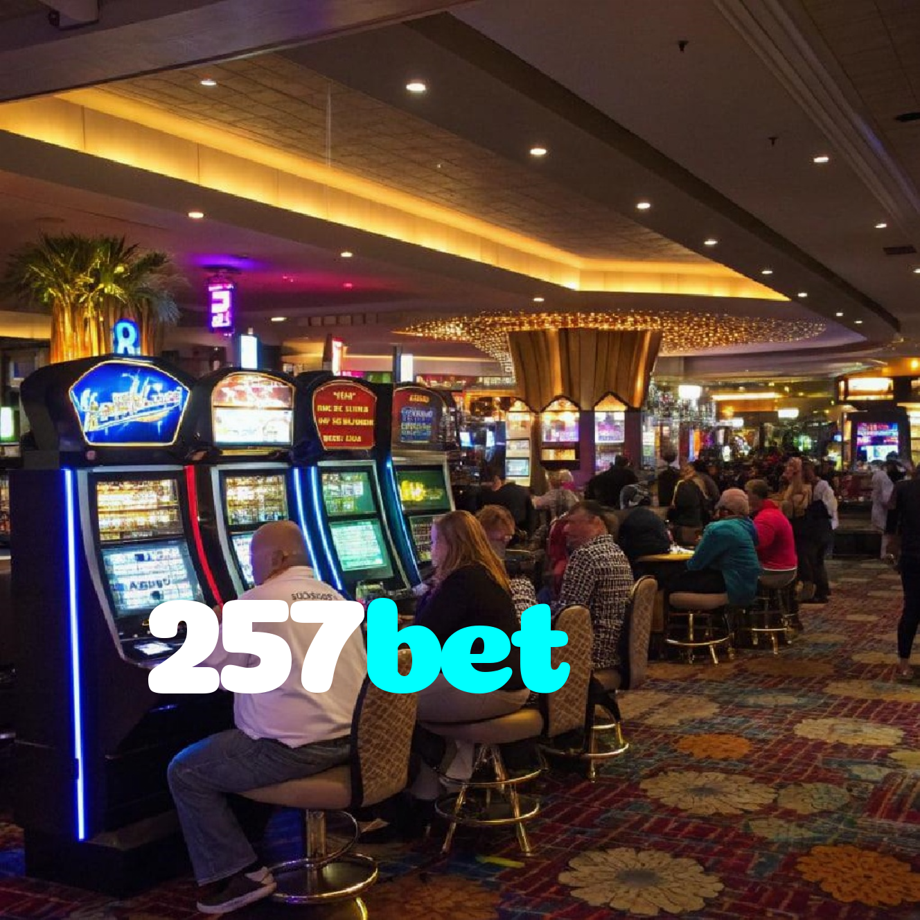 257bet
