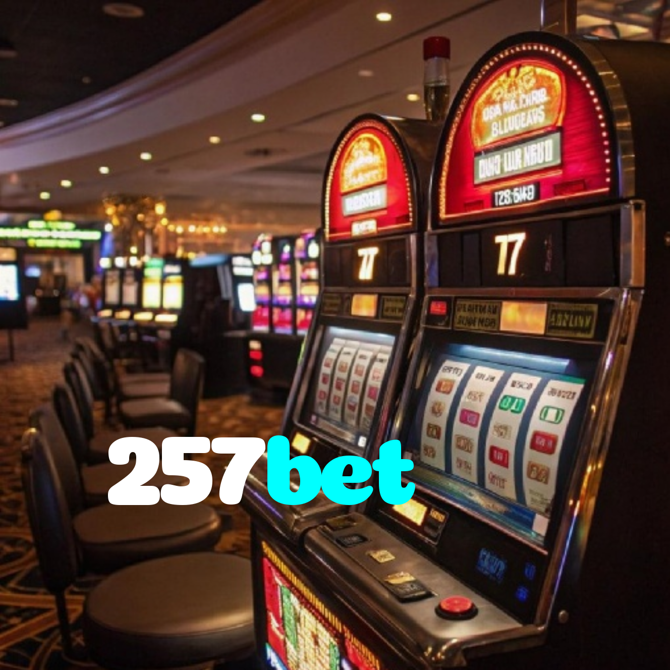257bet
